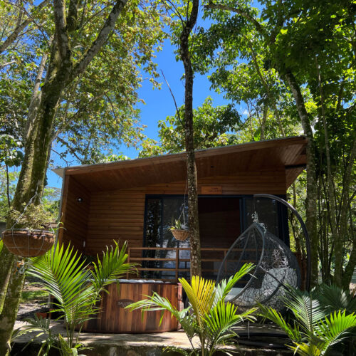 Luna Nueva Luna Nueva