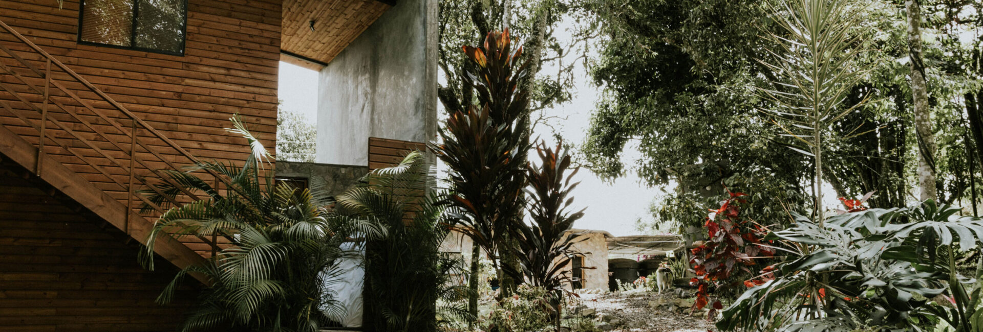 Luna Llena Luna Llena