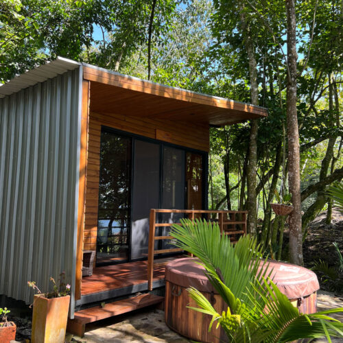 Luna Nueva Luna Nueva