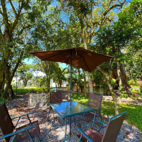 Luna Nueva Luna Nueva