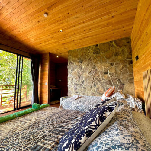 Luna Nueva Luna Nueva