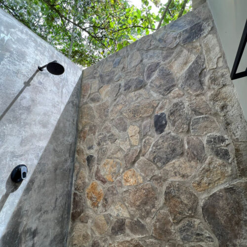 Luna Nueva Luna Nueva