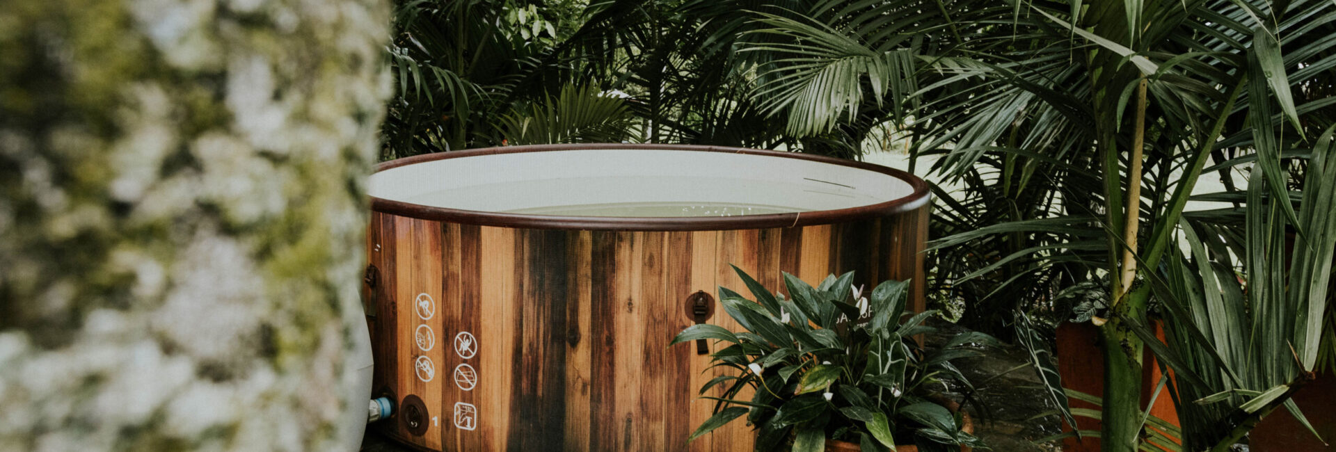 Luna Nueva Luna Nueva